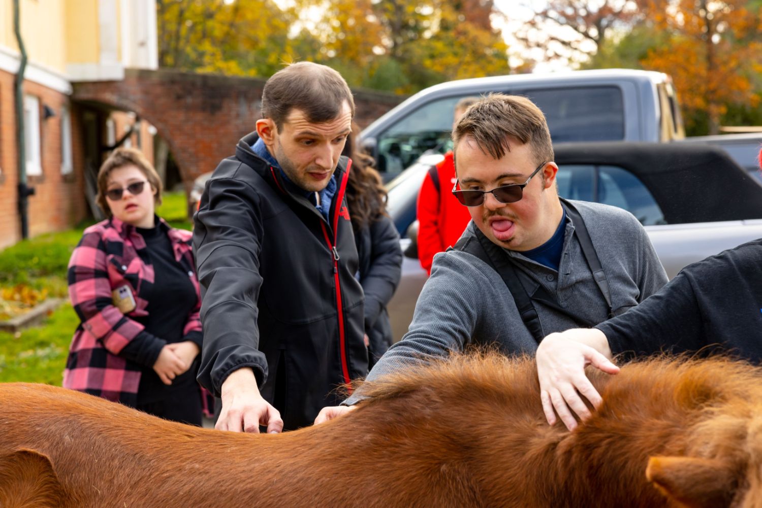 Two men petting a horse