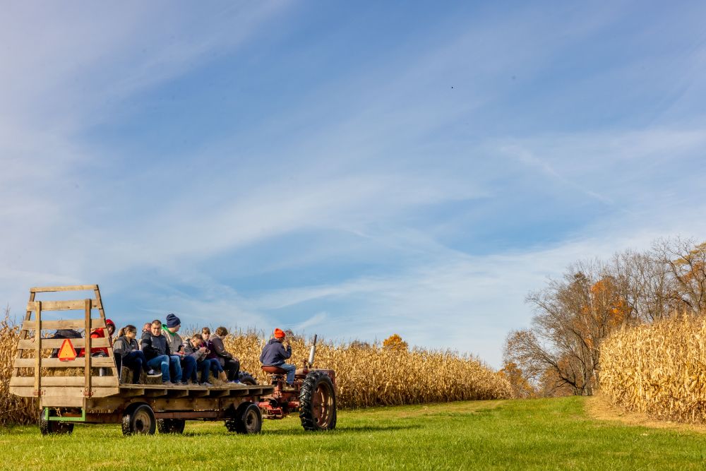Taking Root Farms - Fall Photo Shoot-71-min