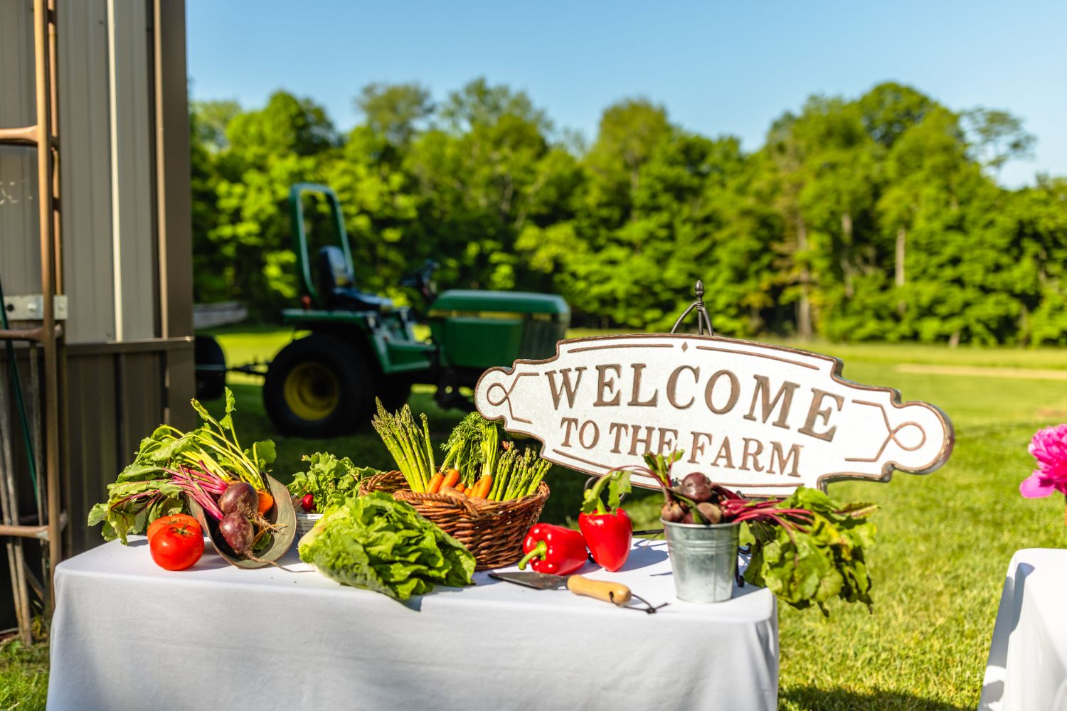 TRF - Brand Video Shoot - 2023 - Farm Lifestyle-2