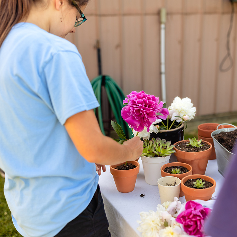 Arranging Flowers