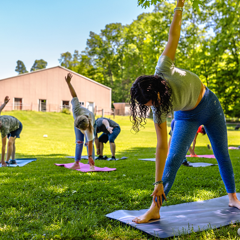 Yoga Classes on the farm